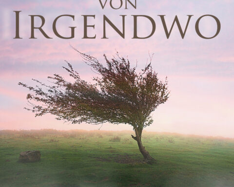 Oliver Koch: Der Wind von Irgendwo wird direkt im Blog veröffentlicht - www-oliverkoch.net