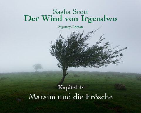 Der-Wind-Von-Irgendwo-Oliver-Koch-Kapitel-4-lesen