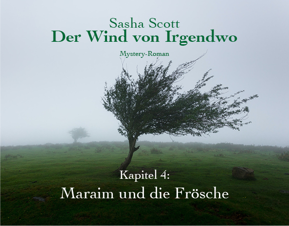 Der-Wind-Von-Irgendwo-Oliver-Koch-Kapitel-4-lesen