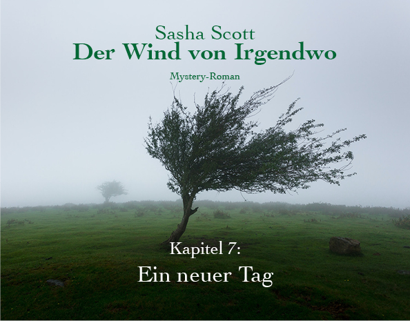 Der-Wind-Von-Irgendwo-Oliver-Koch-Kapitel-7-lesen