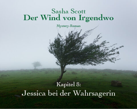 Der-Wind-Von-Irgendwo-Oliver-Koch-Kapitel-8-lesen