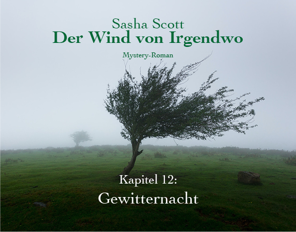 Der-Wind-Von-Irgendwo-Oliver-Koch-Kapitel-12-lesen. www.oliverkoch.net