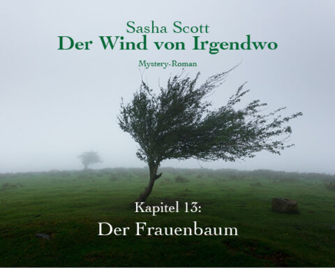 Der-Wind-Von-Irgendwo-Oliver-Koch-Kapitel-13-lesen. www.oliverkoch.net