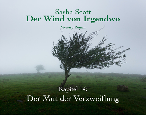 Der-Wind-Von-Irgendwo-Oliver-Koch-Kapitel-13-lesen. www.oliverkoch.net